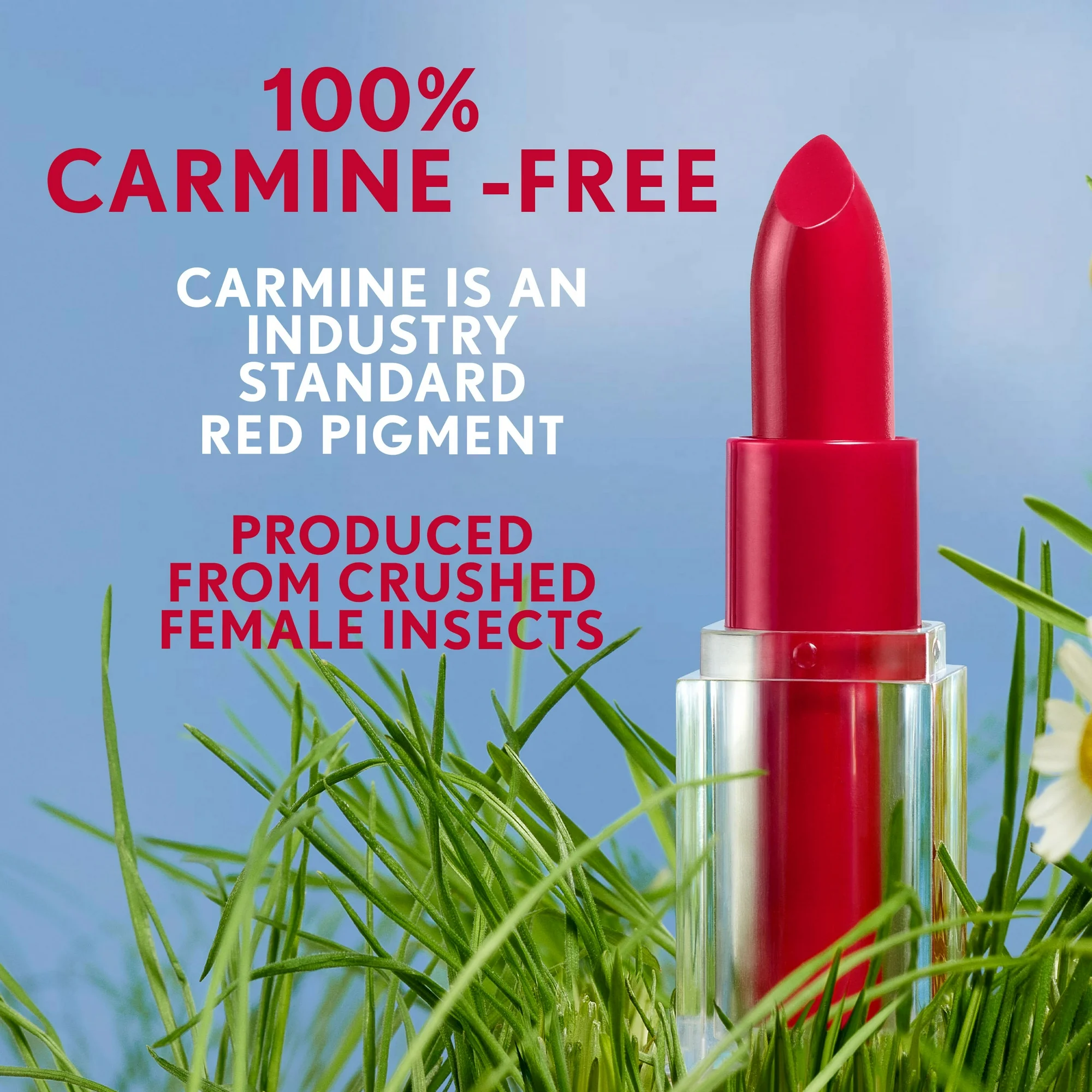 COVERGIRL Clean Lip Color, 330 Maple Glaze, 0.12 oz - Image 4