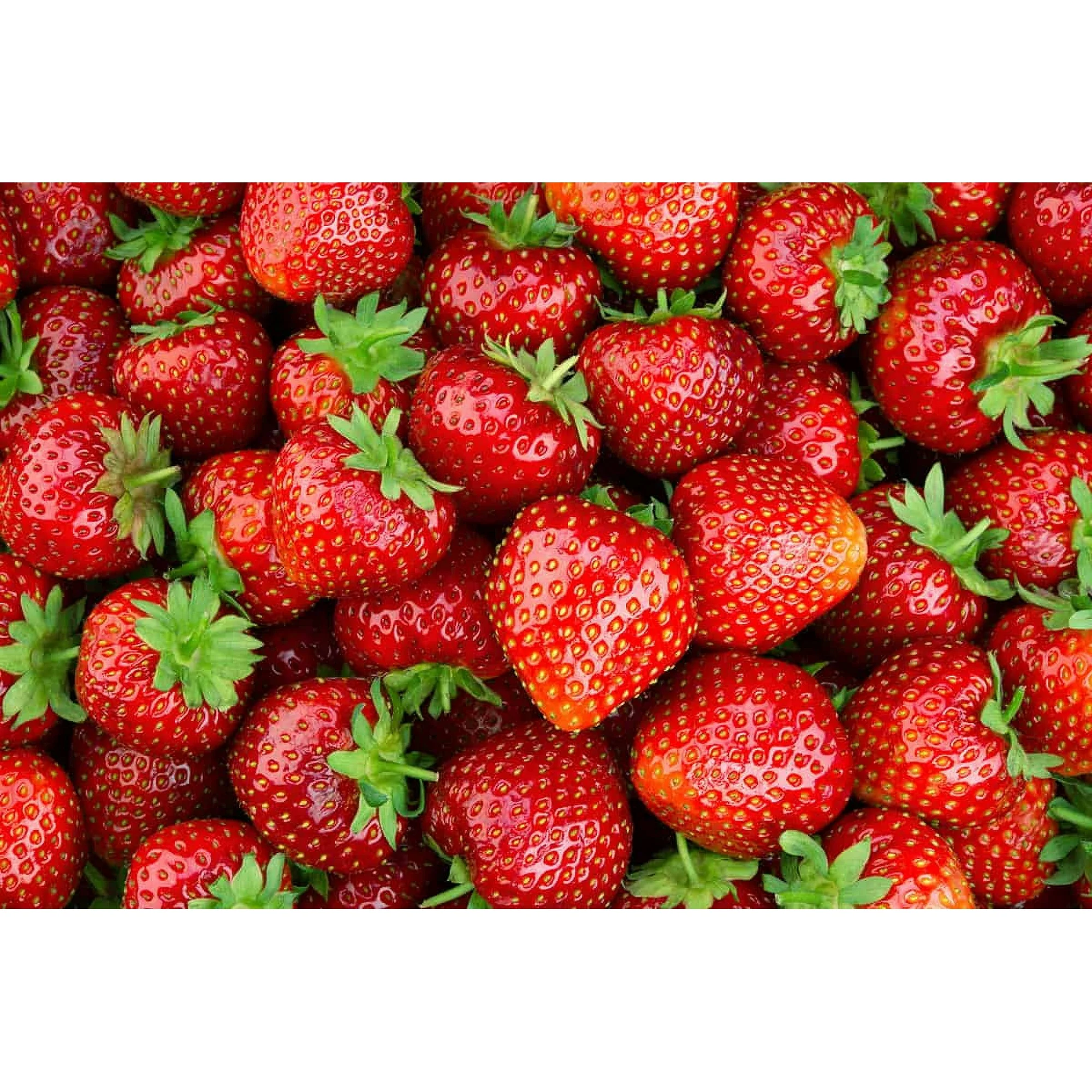 Fresh Strawberries, 1 lb Container - Image 5